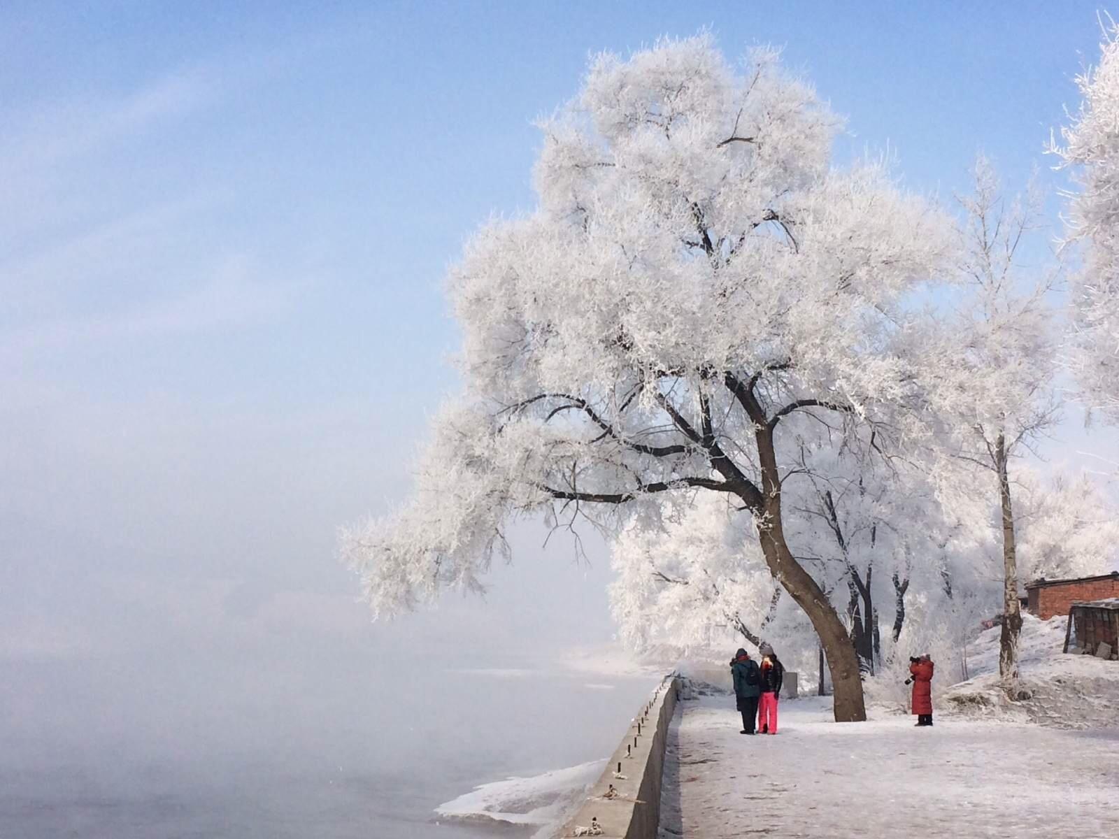 散文:(四)北國的雪