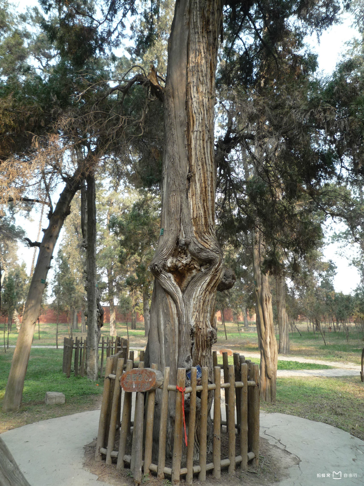 汉光武帝,刘秀的原陵景区,当地人称刘秀坟