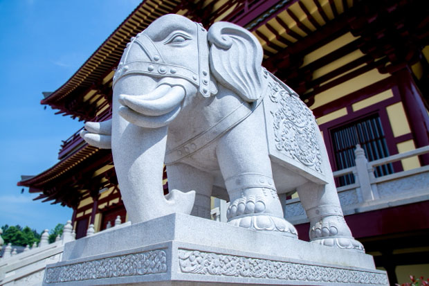 不同的动物在佛教中分别有什么含义?