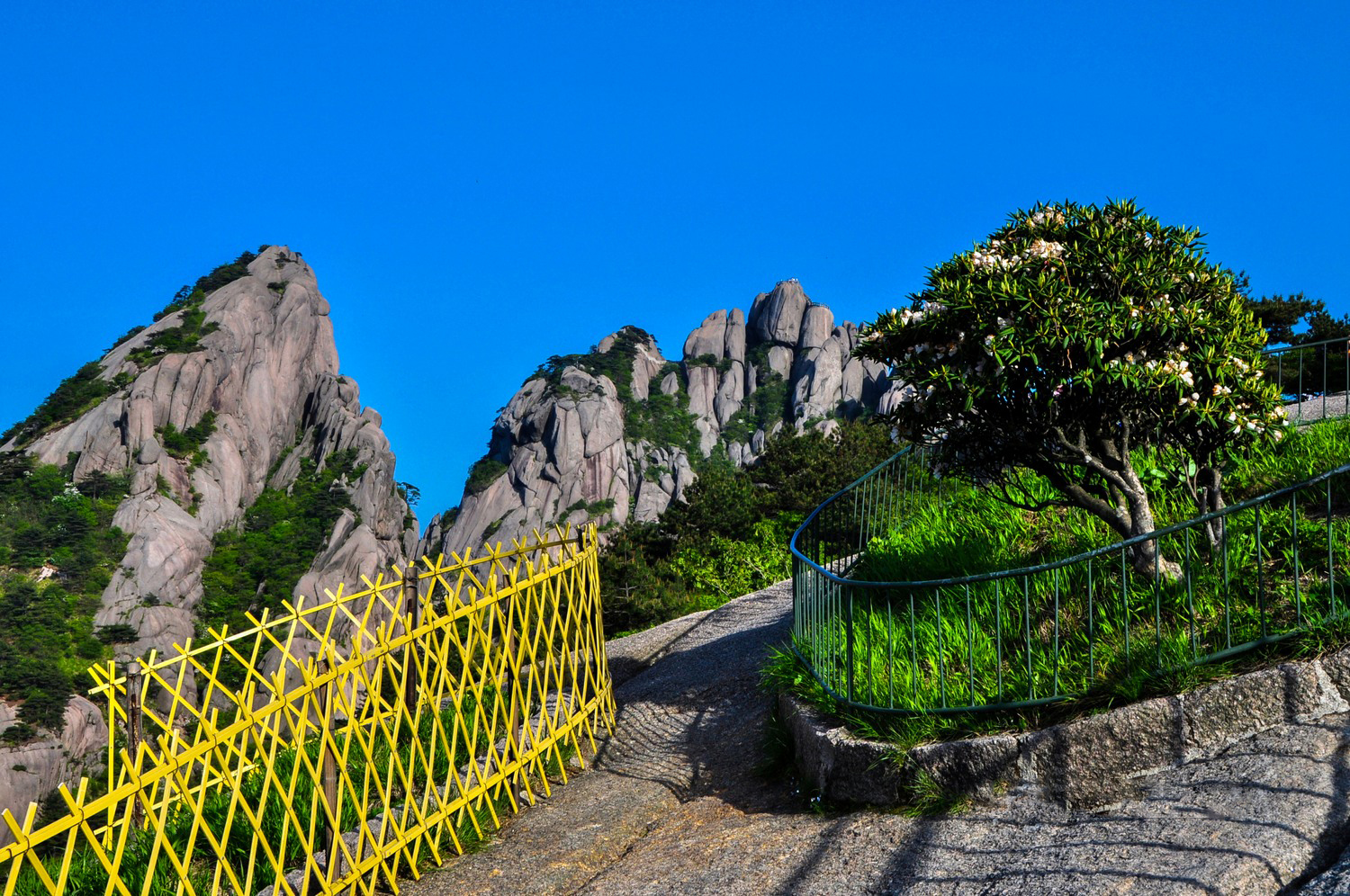 "三山五岳"之安徽黄山风景实拍