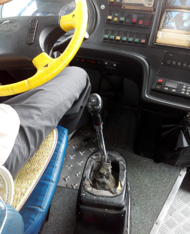 看公交司机是如何做到不踩离合就换挡的!得多好的技术才能做到?