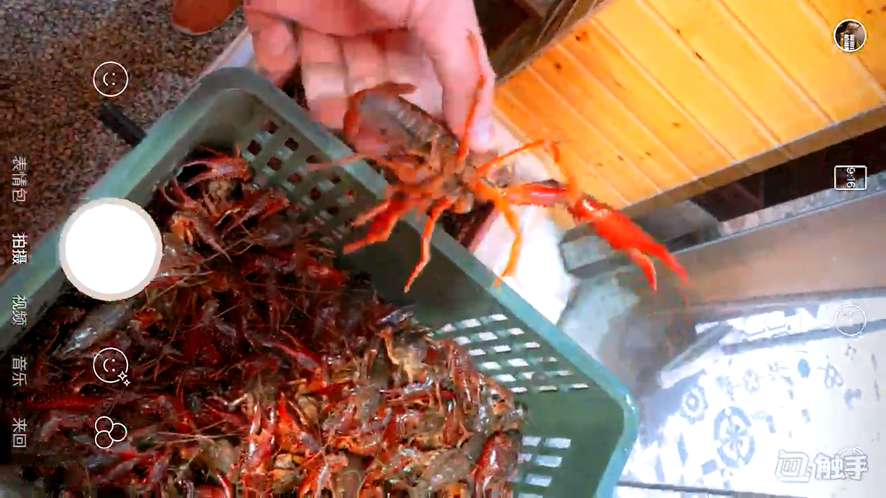 吃鸡主播触手花花深夜拉仇恨直播吃小龙虾,观众:不务正业!