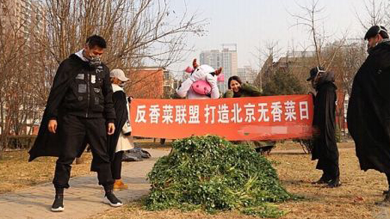 世界反香菜联盟成立了,你想加入组织吗?