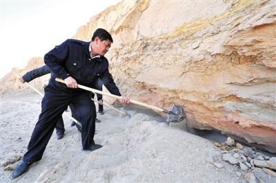 我与土龙骨的故事:采挖四天,收入6万多