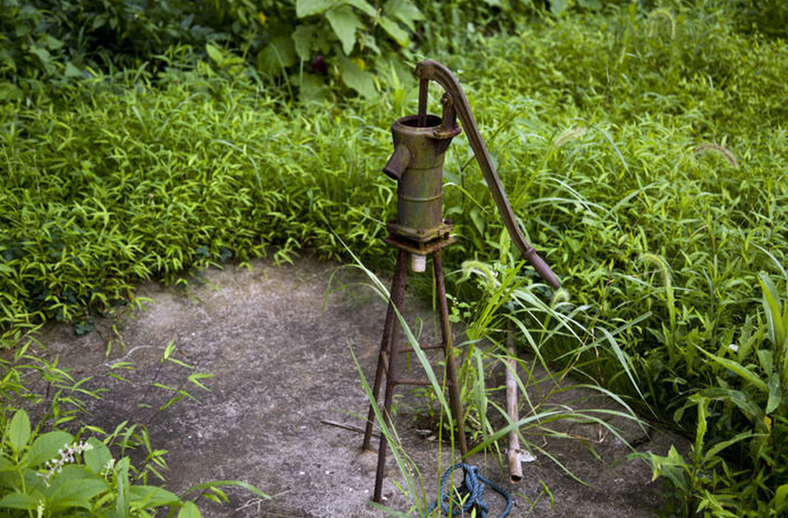 现在城市里看不到农村也少见的压水井