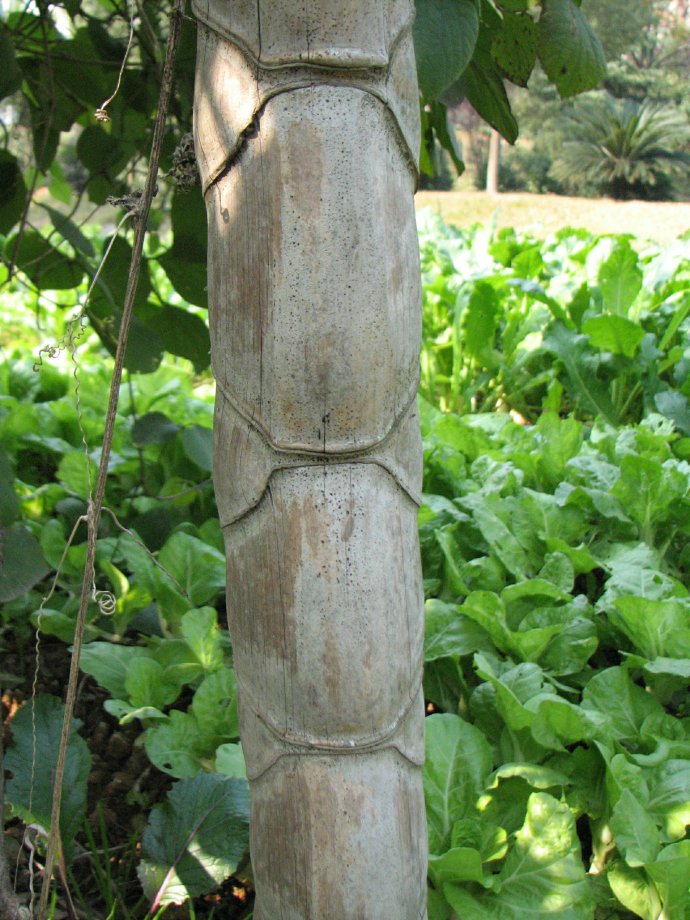 老家这竹编席子,古人皇上都推崇,验证女子贞洁,消失原因是这样