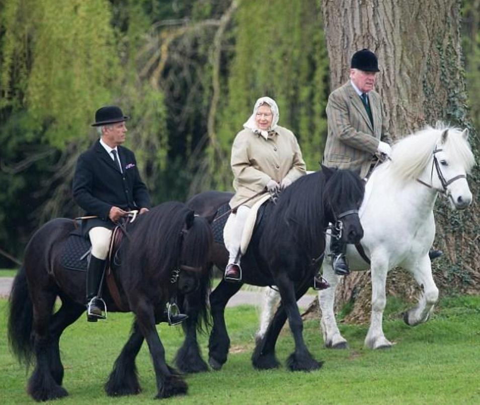 看完英国王室城堡的细节照,你就明白英国贵族到底有多奢华