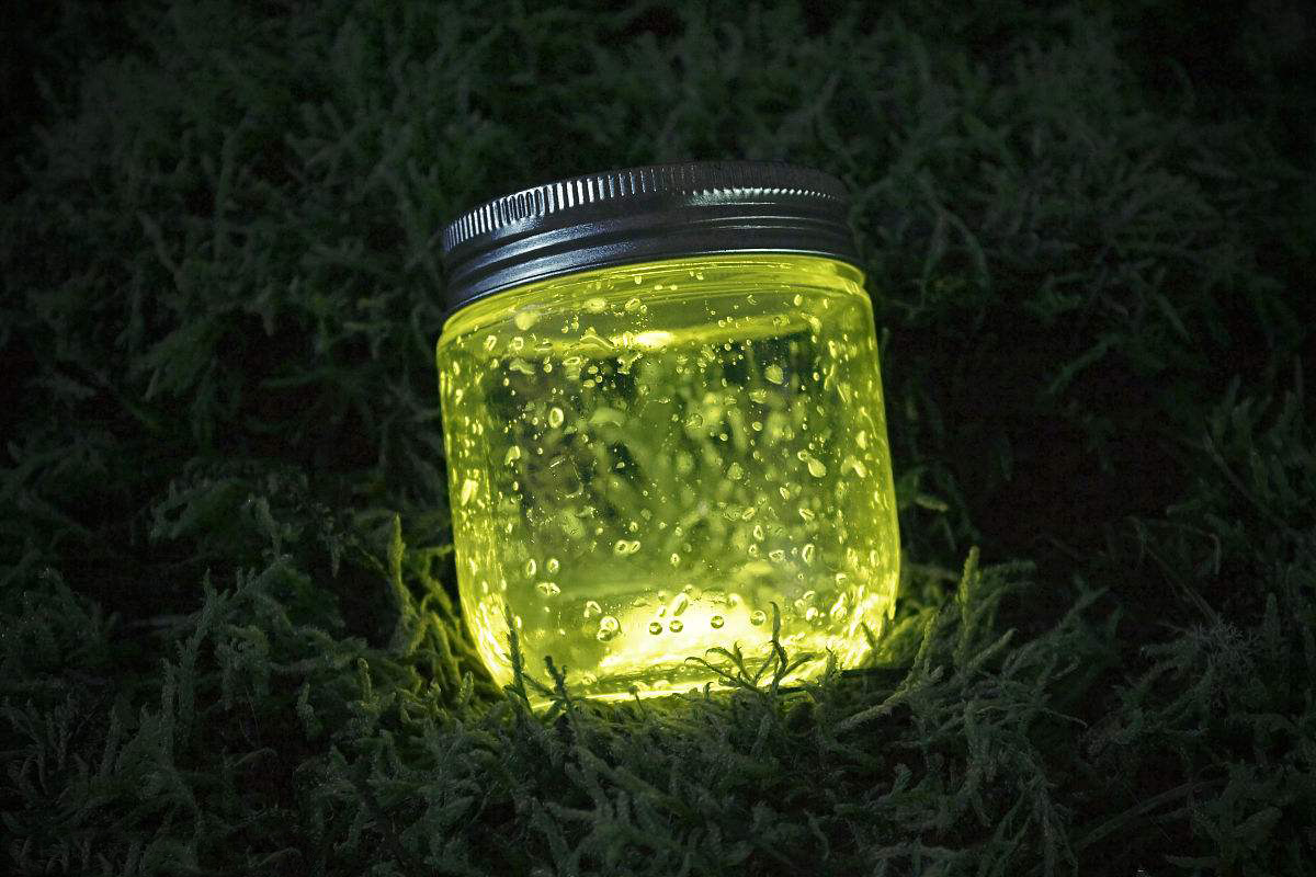 在路旁,草丛中 ,成千上万的萤火虫翩翩飞舞,萤光闪烁,蔚为壮观,尤如"