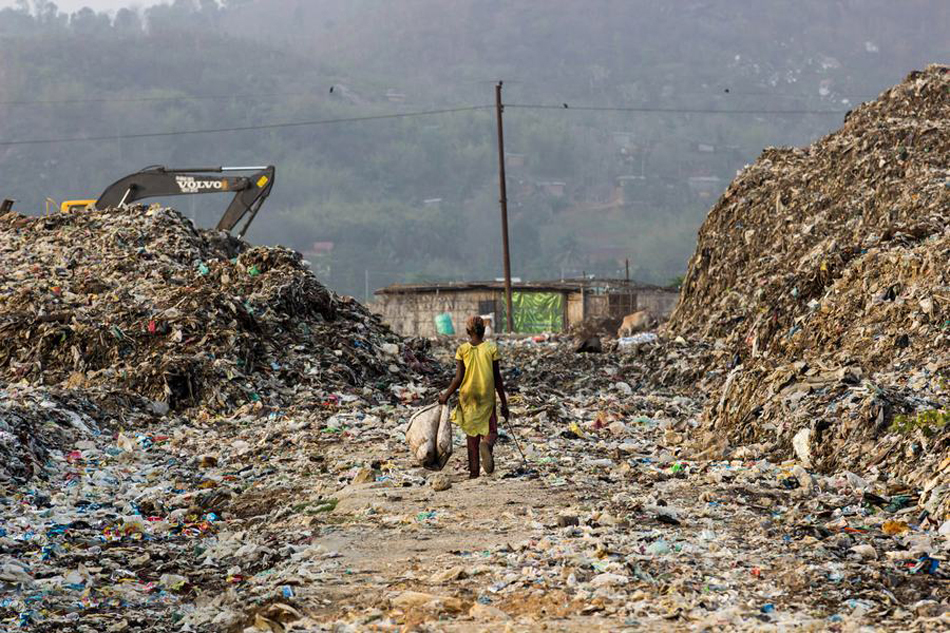 印度最大垃圾场,里面的鸟比人还大,贫民吃垃圾也不吃它们!