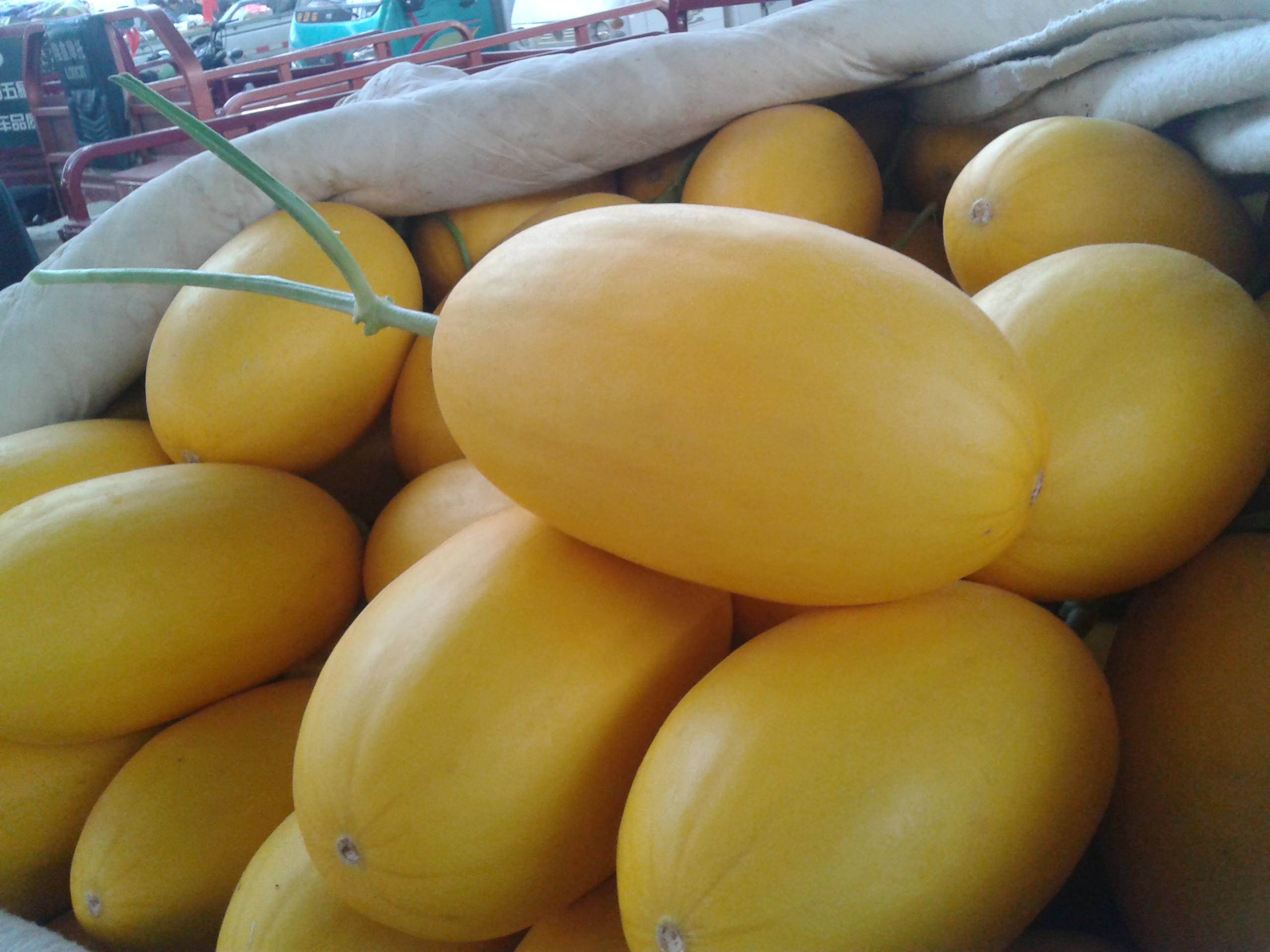 多吃些这样的食物!对你的身体有好处的!