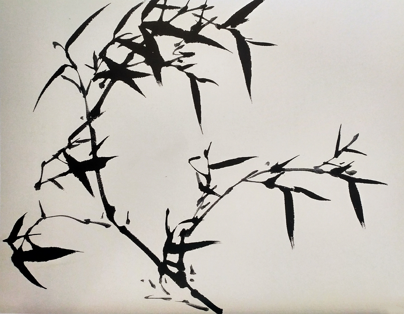 画竹之风竹,雨竹,晴竹,雪竹的特点