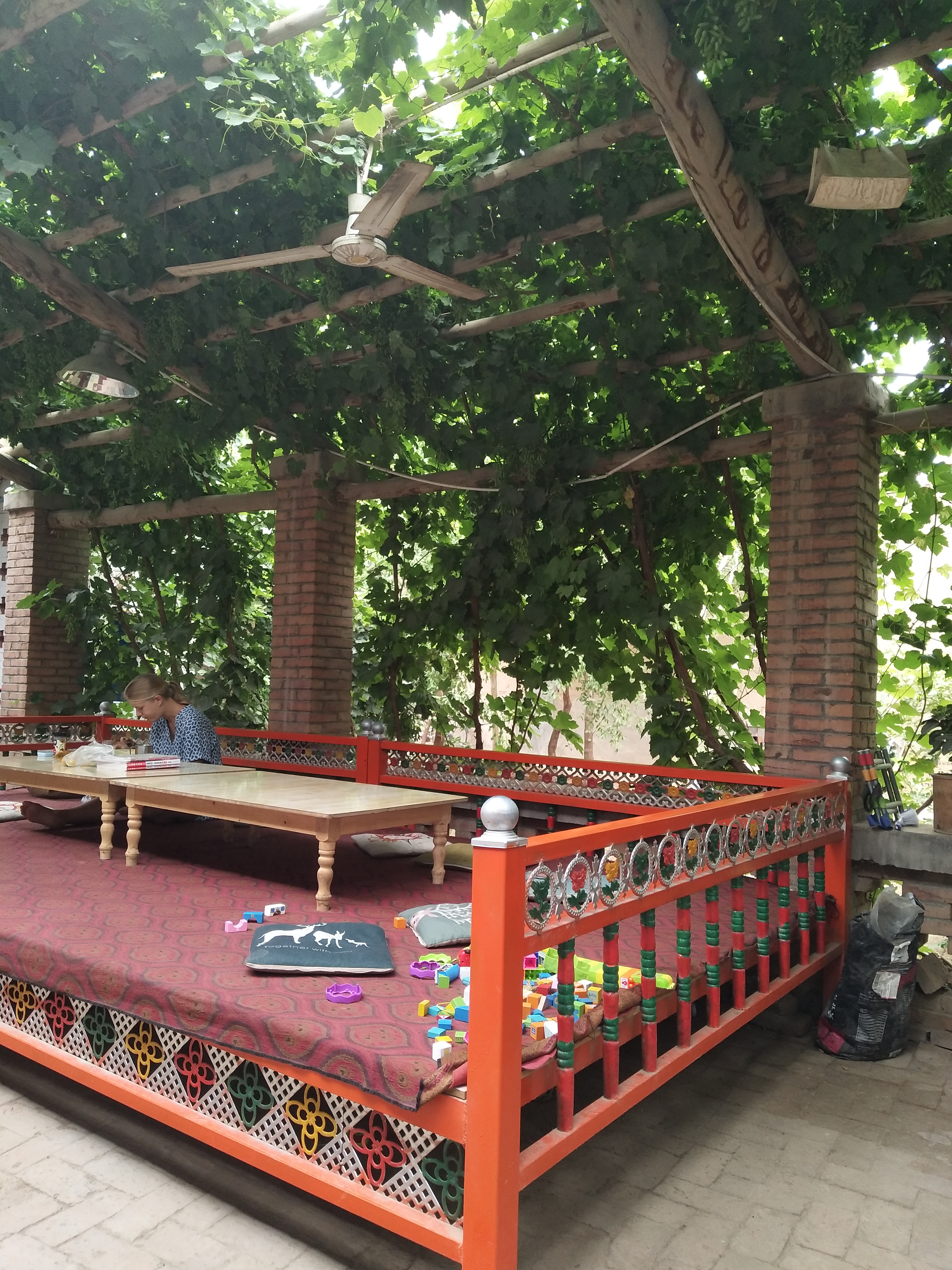 新疆吐鲁番的农家小院是这样子的