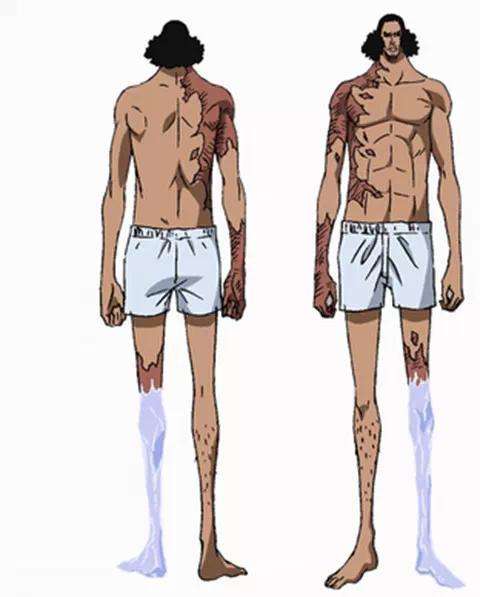 《海贼王》中青雉断腿后,实力有哪些变化?