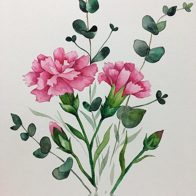 大师级水彩花卉临摹素材