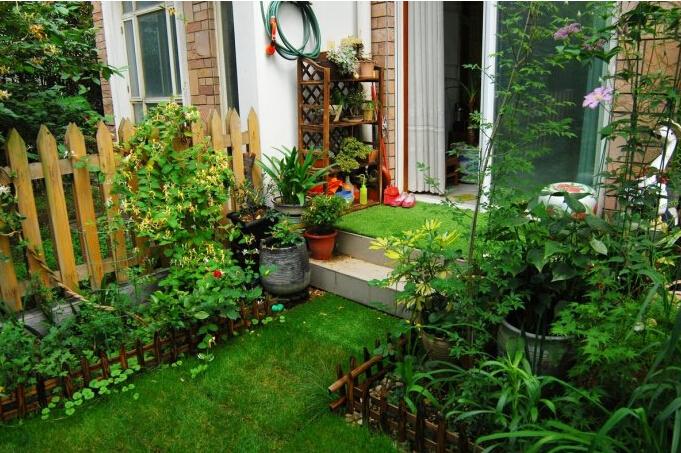 现在农村的房子都和别墅似的,这小院也太吸引人了!