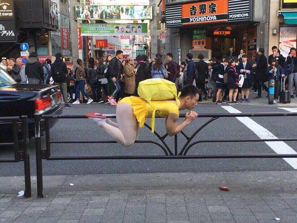 日本街头一女子手牵人形犬逛街,行人却已见怪不怪?