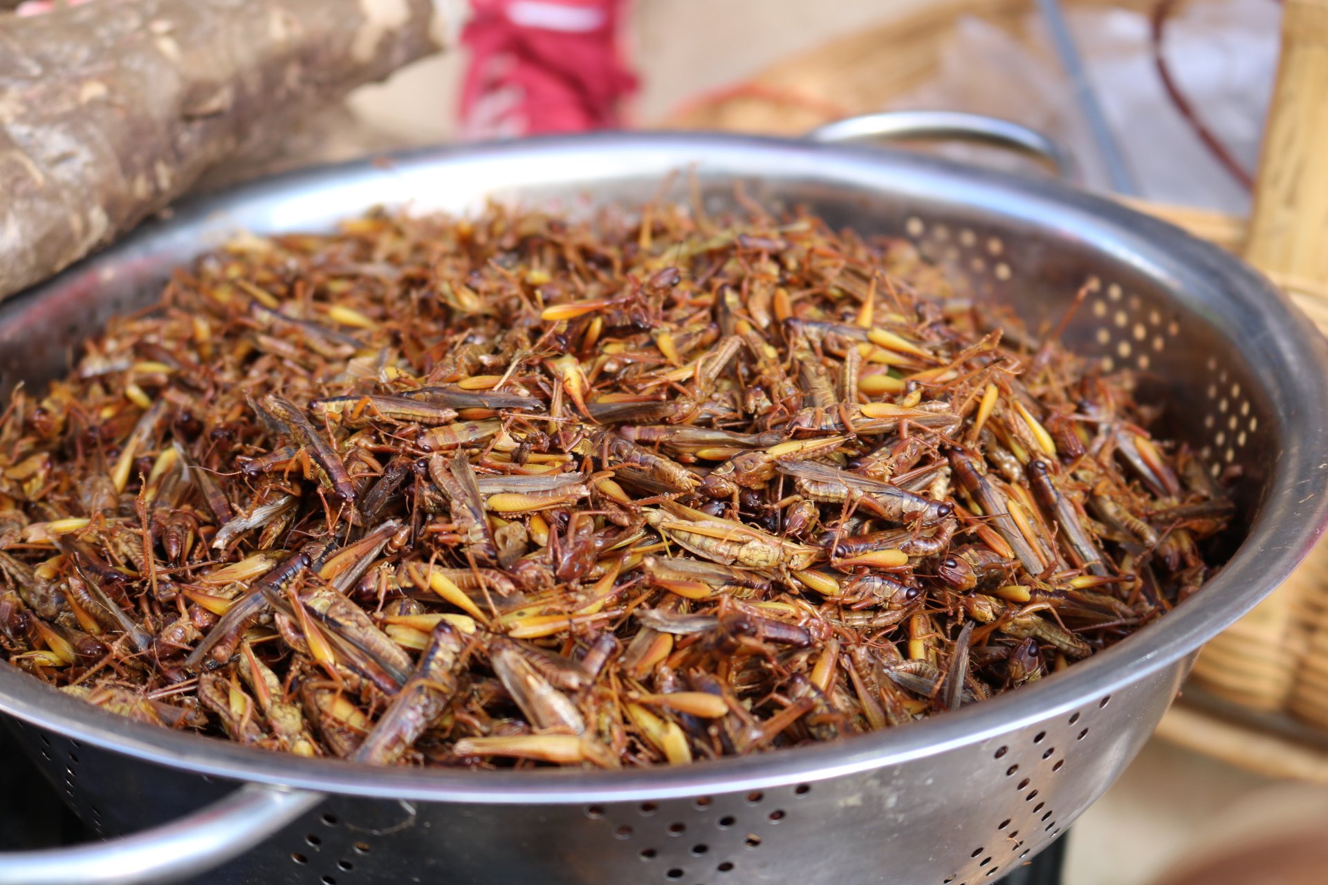 云南农村赶集,这种野虫你敢吃吗?