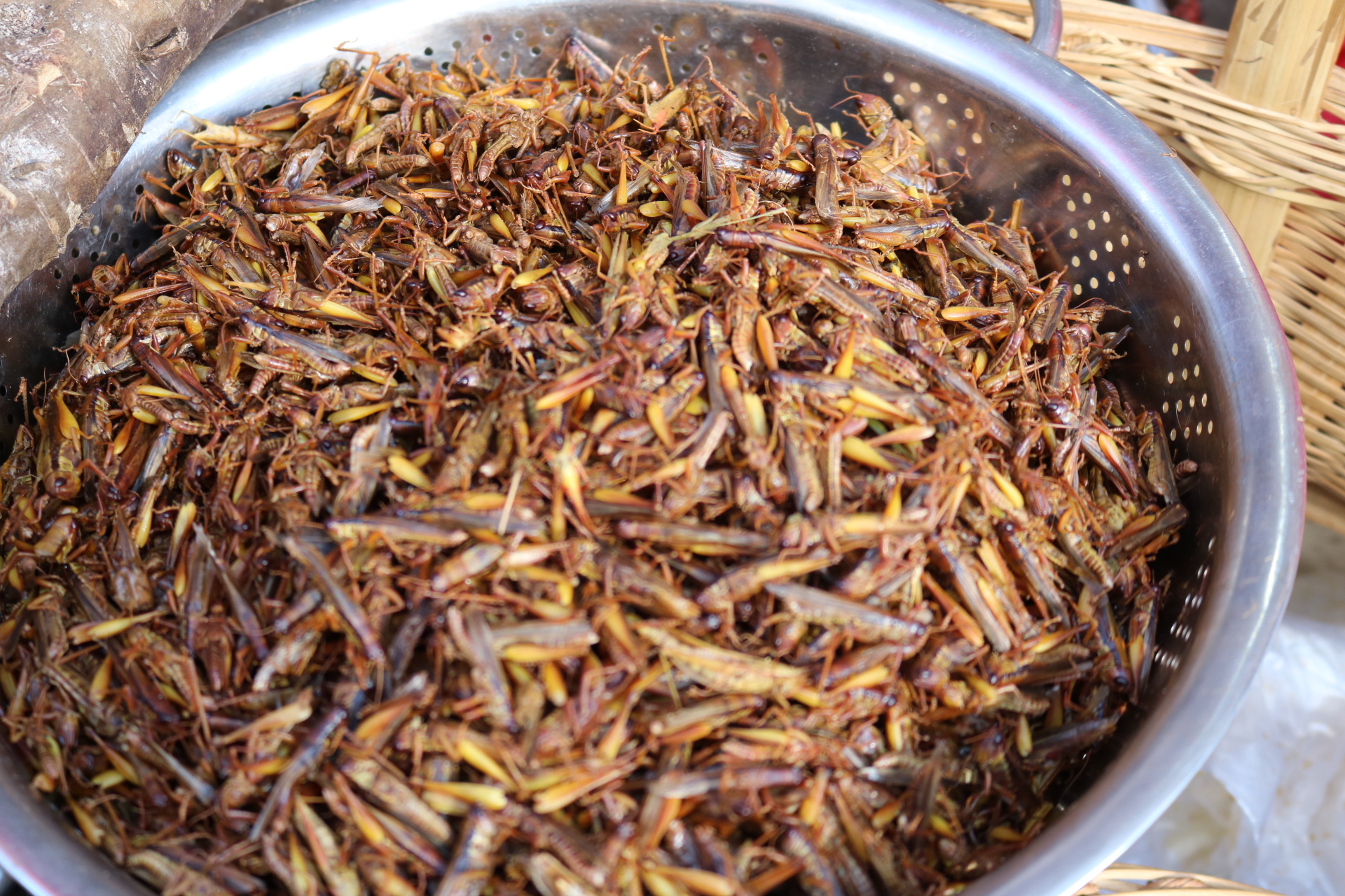 云南农村赶集,这种野虫你敢吃吗?