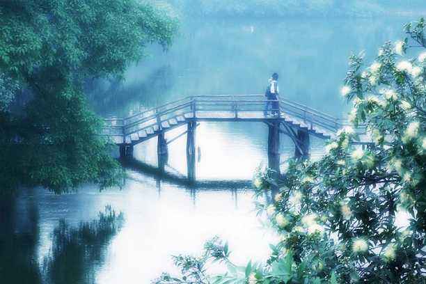 烟雨濛濛的水乡美景