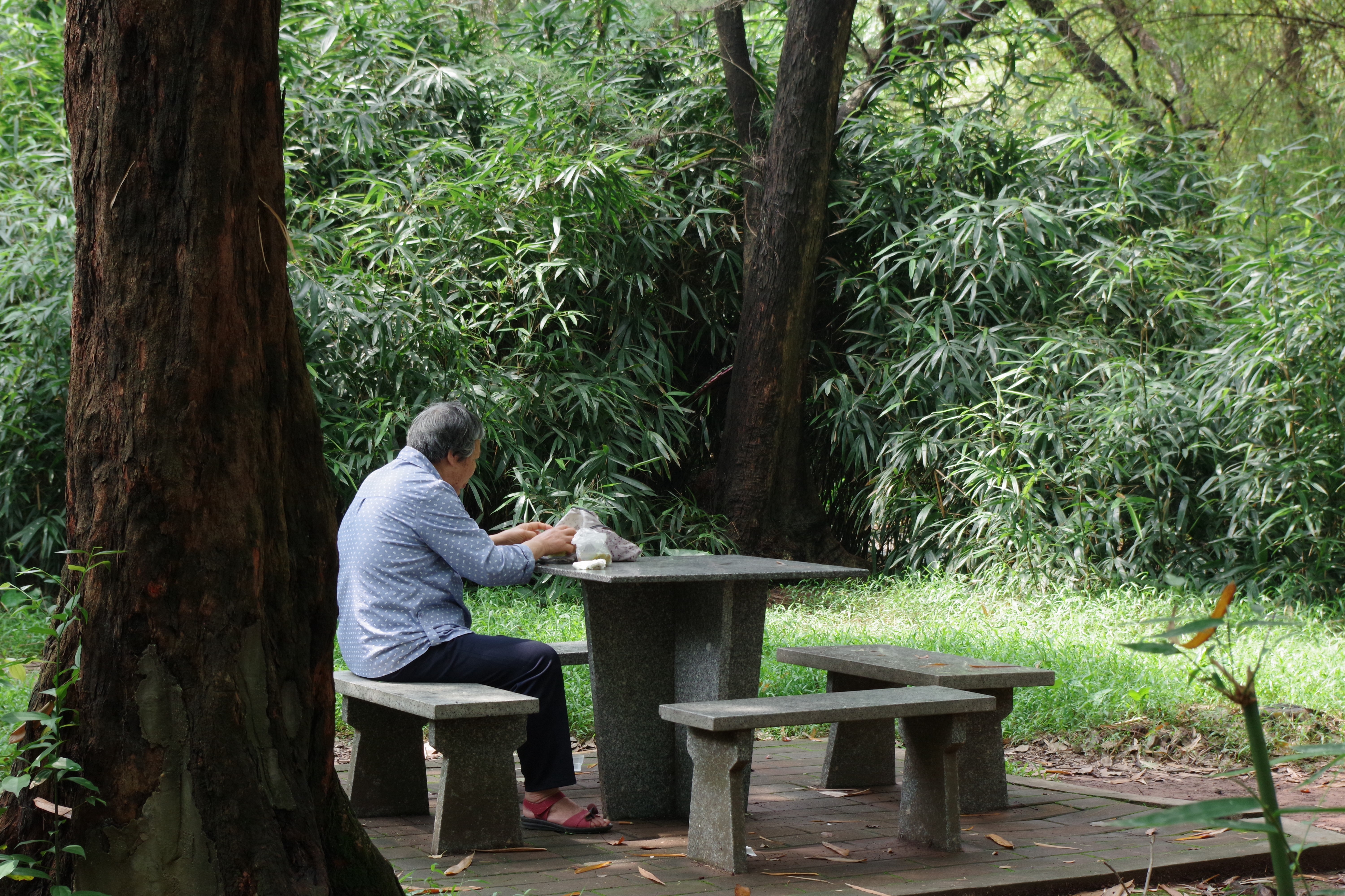 孤獨的空巢老人獨自在公園吃午飯