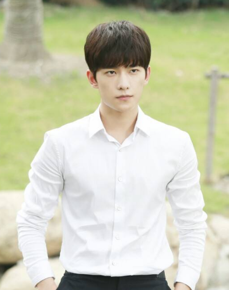 杨洋在《花开半夏》中饰演陆元,富二代,校草,从小在一个温暖,享尽荣华