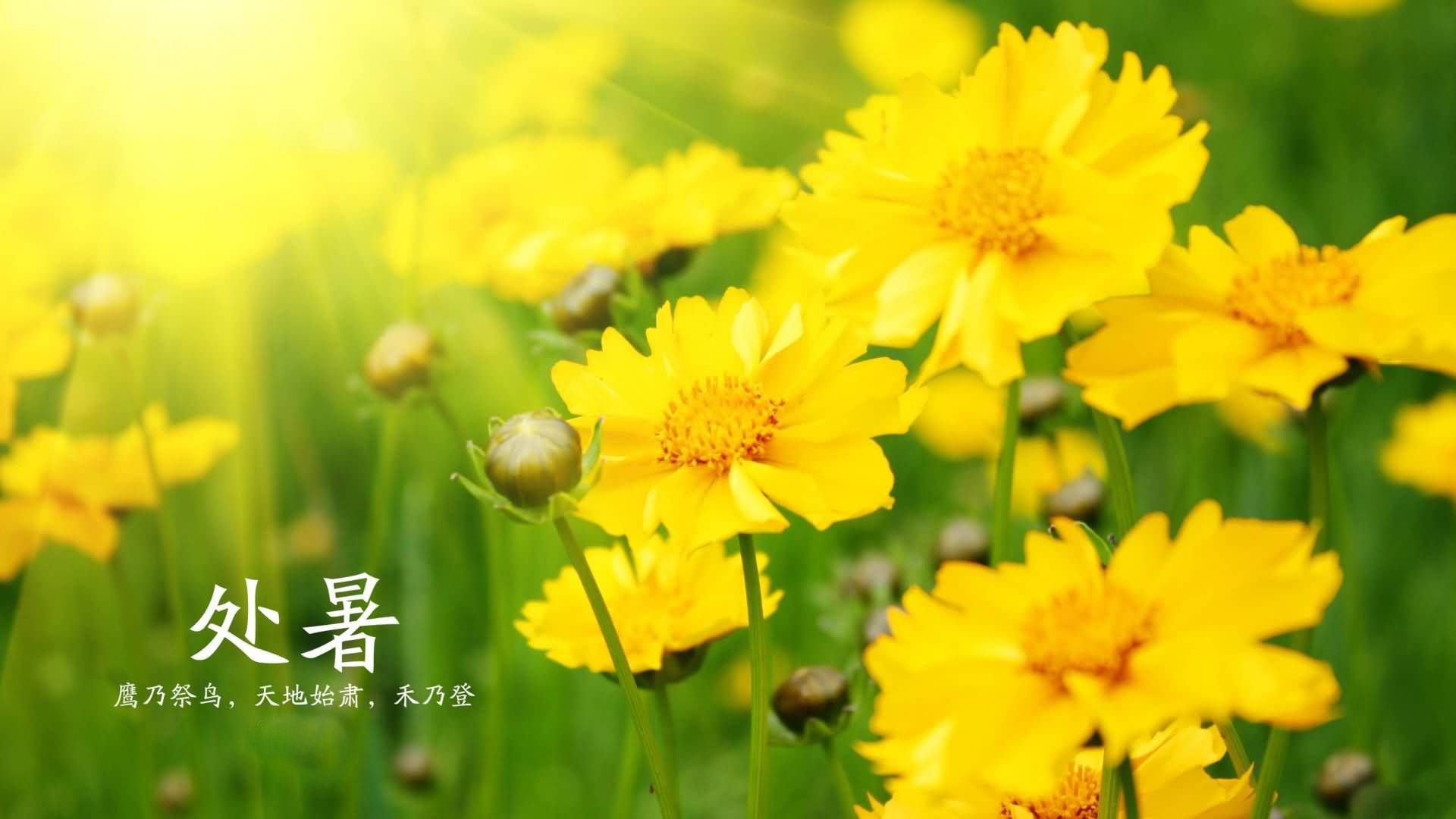 《二十四节气》-人类非物质文化遗产