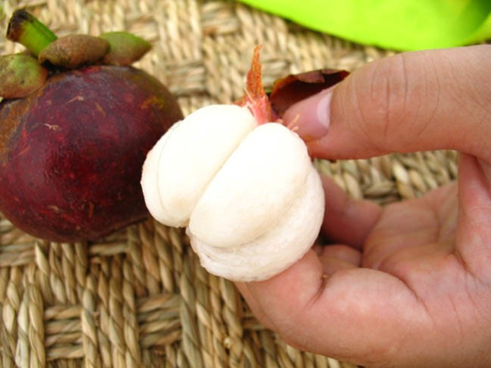 这两种水果被称为"夫妻果",一热一寒,夏天搭配吃滋补不上火