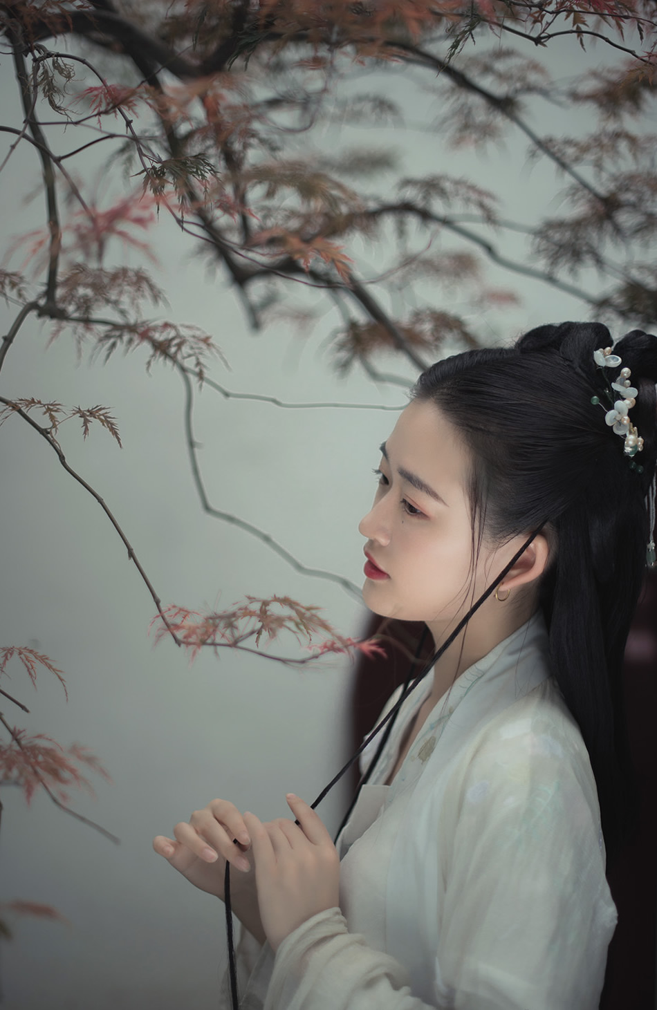 汉服古风:红粉靓梳妆,翠盖低风雨