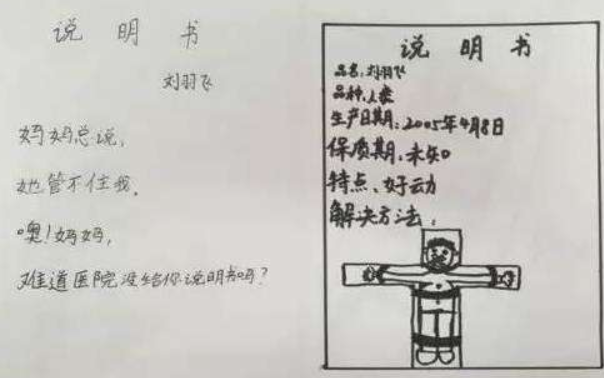 小学生的奇葩搞笑作文