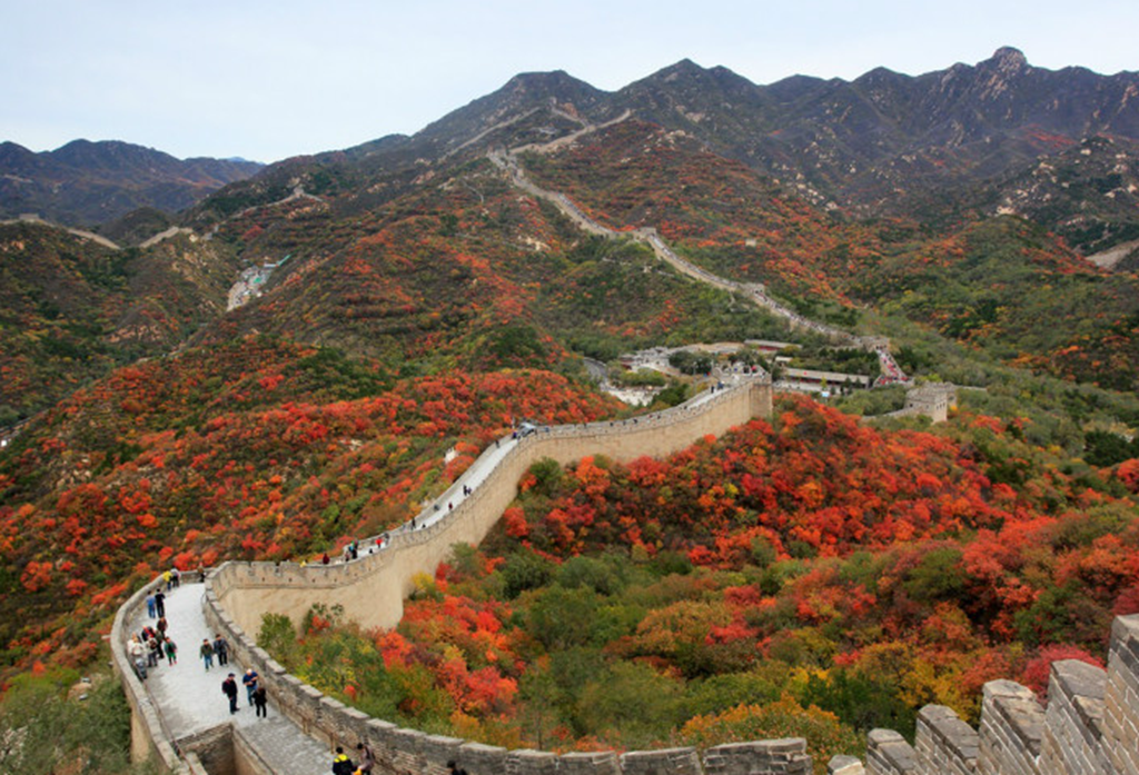 秋天的八达岭长城,深红浅红,一秒钟变成李可染的《万山红遍》!