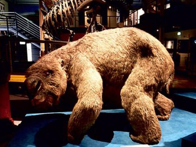 6种有几率残存的远古生物,第4种一百万年前在中国灭绝