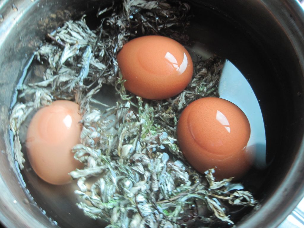 端午前夕用艾叶煮鸡蛋吃,暖宫祛湿,但你知道什么时辰吃最好吗?