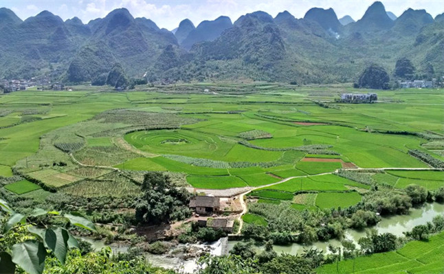 图5,八卦田,位于贵州省兴义市万峰林景区内,是一片天然形成的八卦田