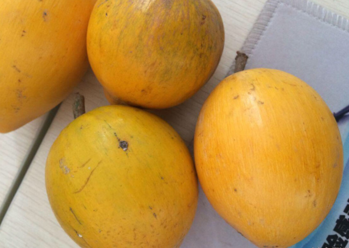 第三种,西非荔枝果,这种水果样子就非常奇葩,而且它的黑色的核是有毒