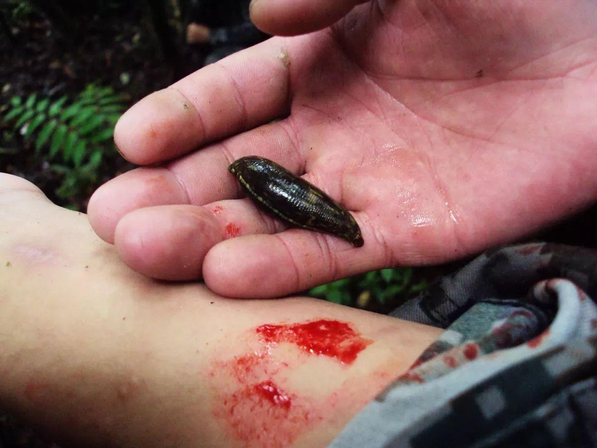戴笠一招拿下日本女子间谍,让不怕死的间谍,看见它直接吓哭