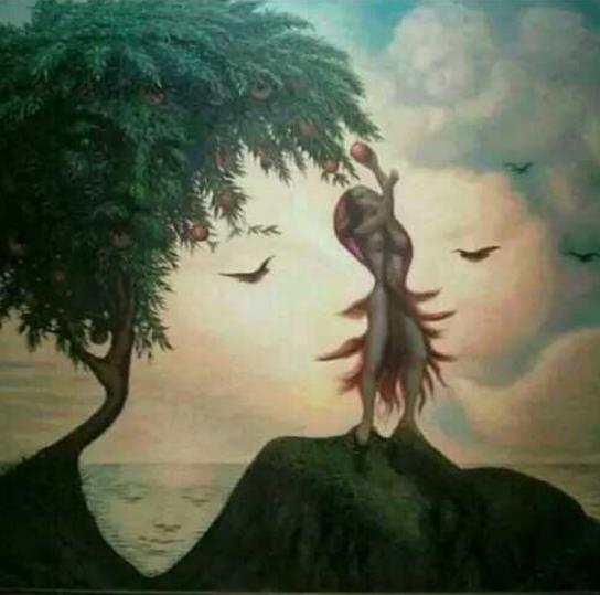 考眼力和观察力的时候到了,图2答案超乎你的想象,图4有点"懵"