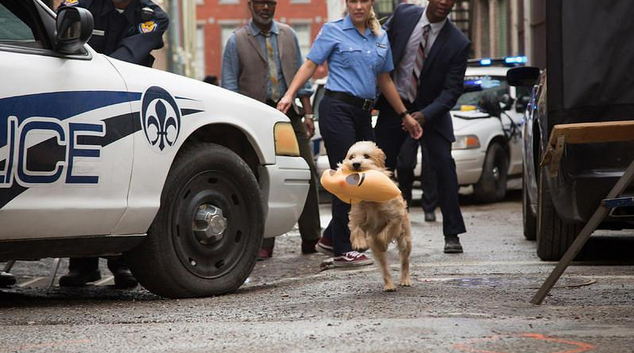 萌犬来袭,《神探狗笨吉》