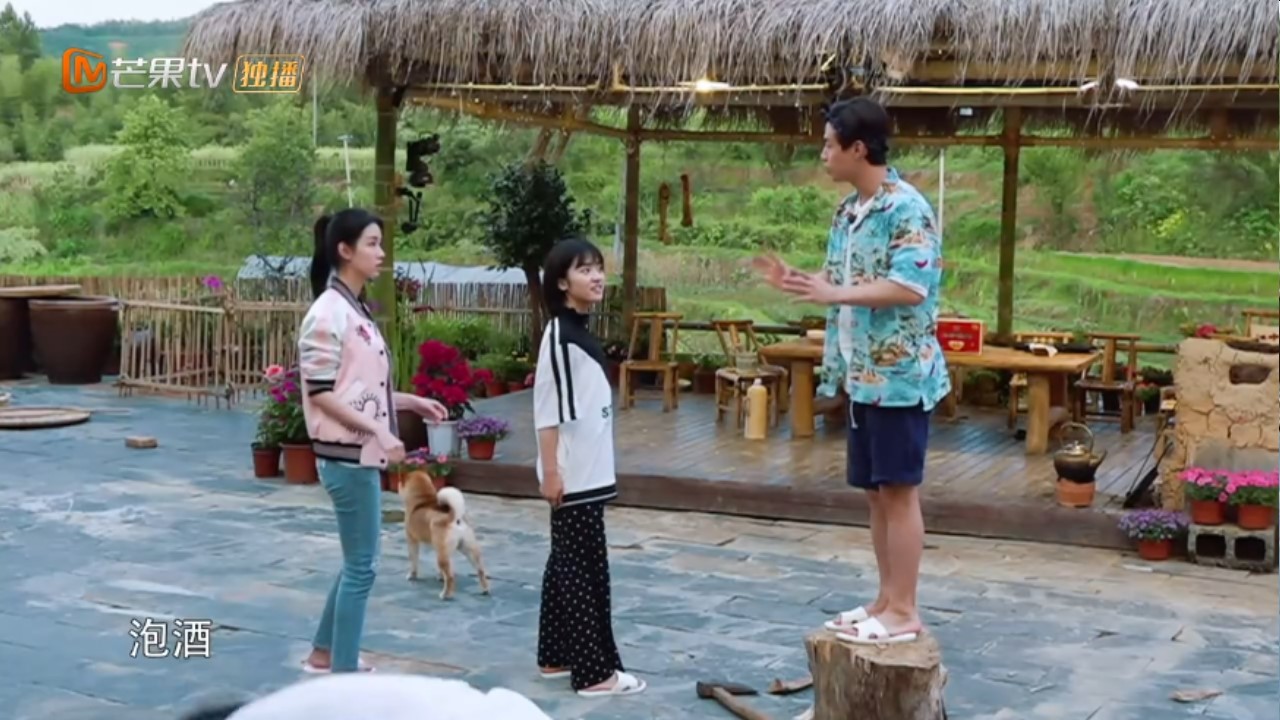 沈月陈都灵做客,刘宪华全程兴奋,黄磊一句话道出实情,心疼大华