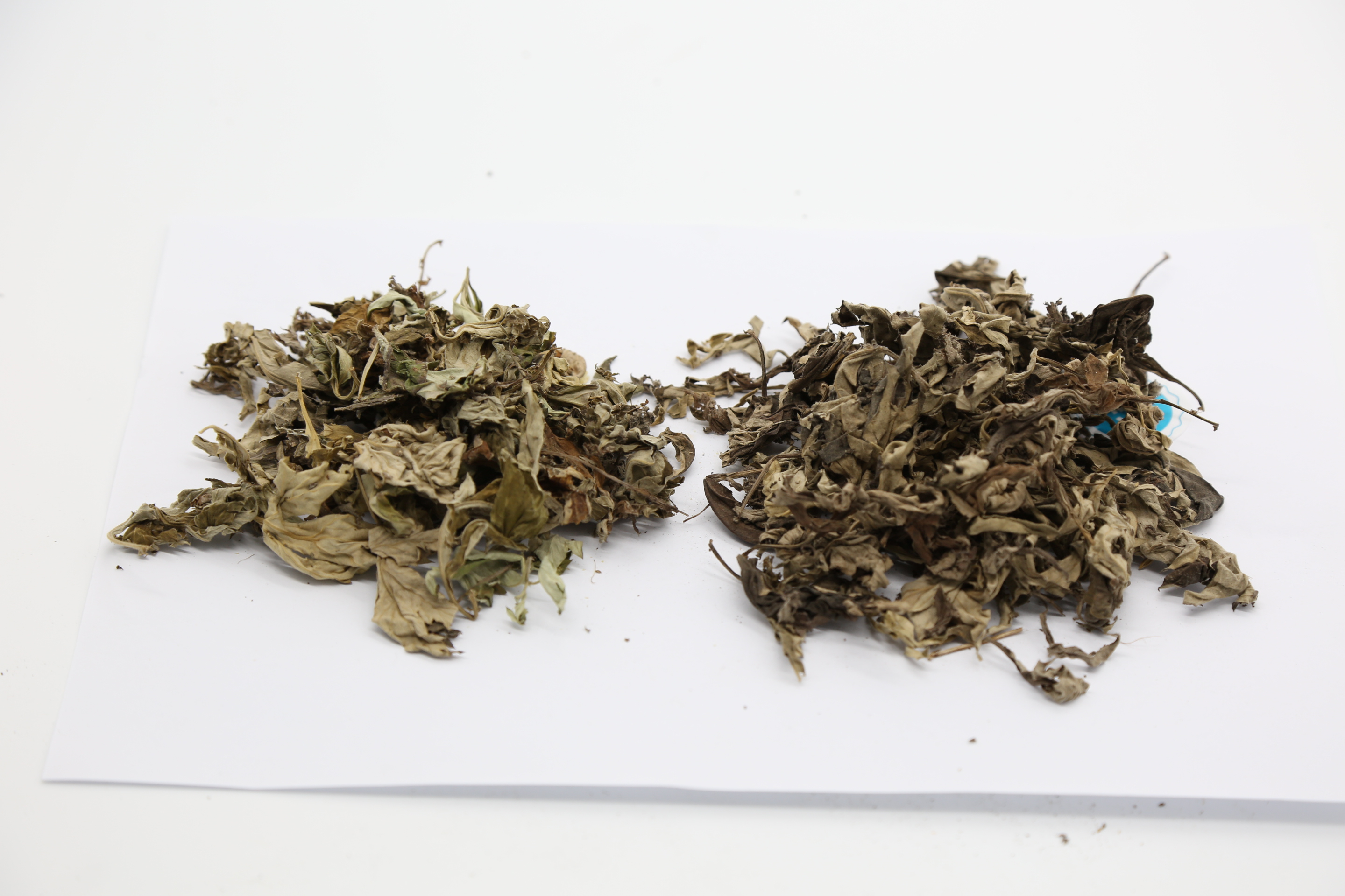 谈谈一年陈艾与三年陈艾的区别差距