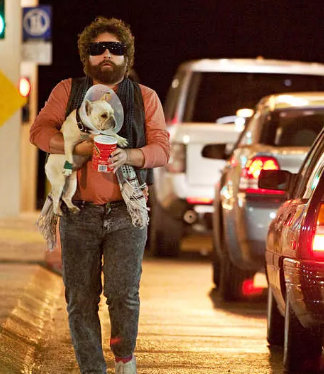 《预产期》电影影评