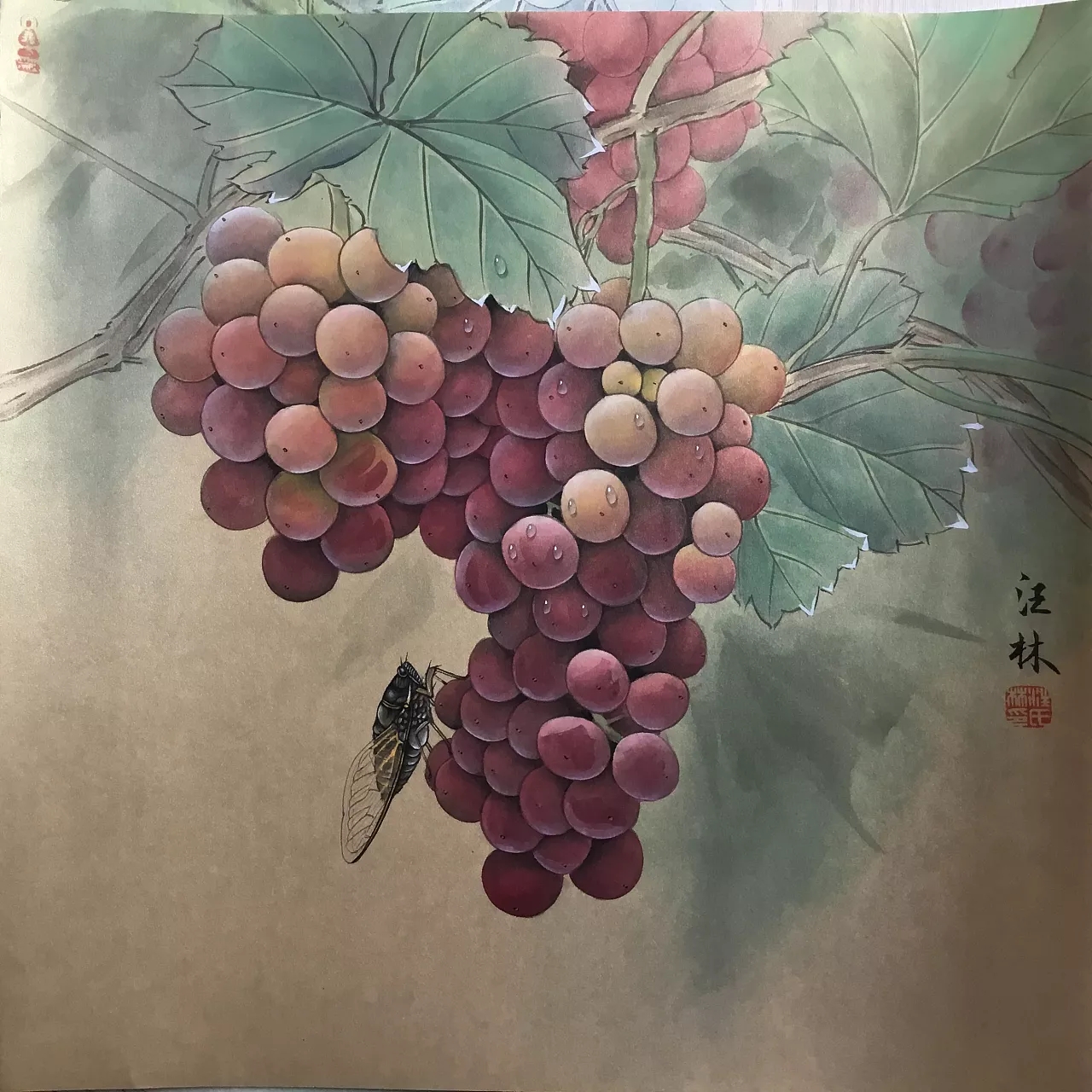 瓜果蔬菜工笔画大全图片