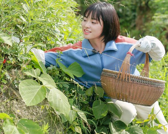 向往的生活:沈月被嘲"不如陈都灵"!网友却说陈都灵"面瘫脸"