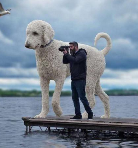 镜头下的奇葩错位图:最后一张有没有被惊艳到呢?