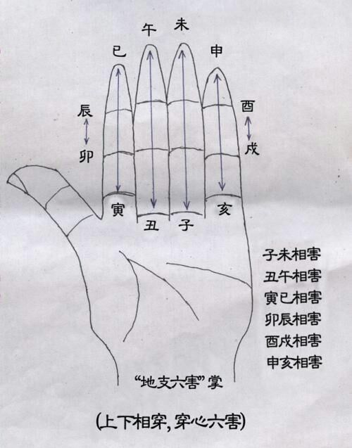 手指五行图 记忆图片