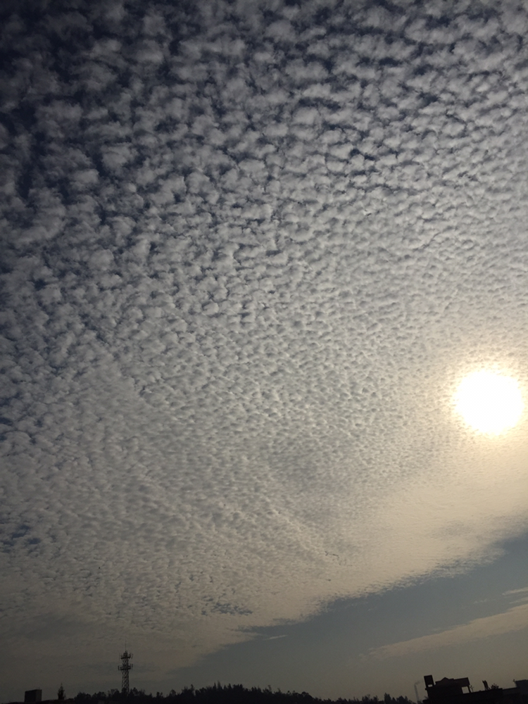 十年难得一遇雪花云奇观