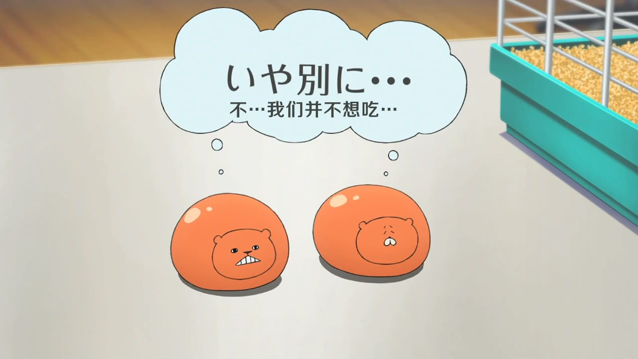 小埋的宠物,两只小仓鼠