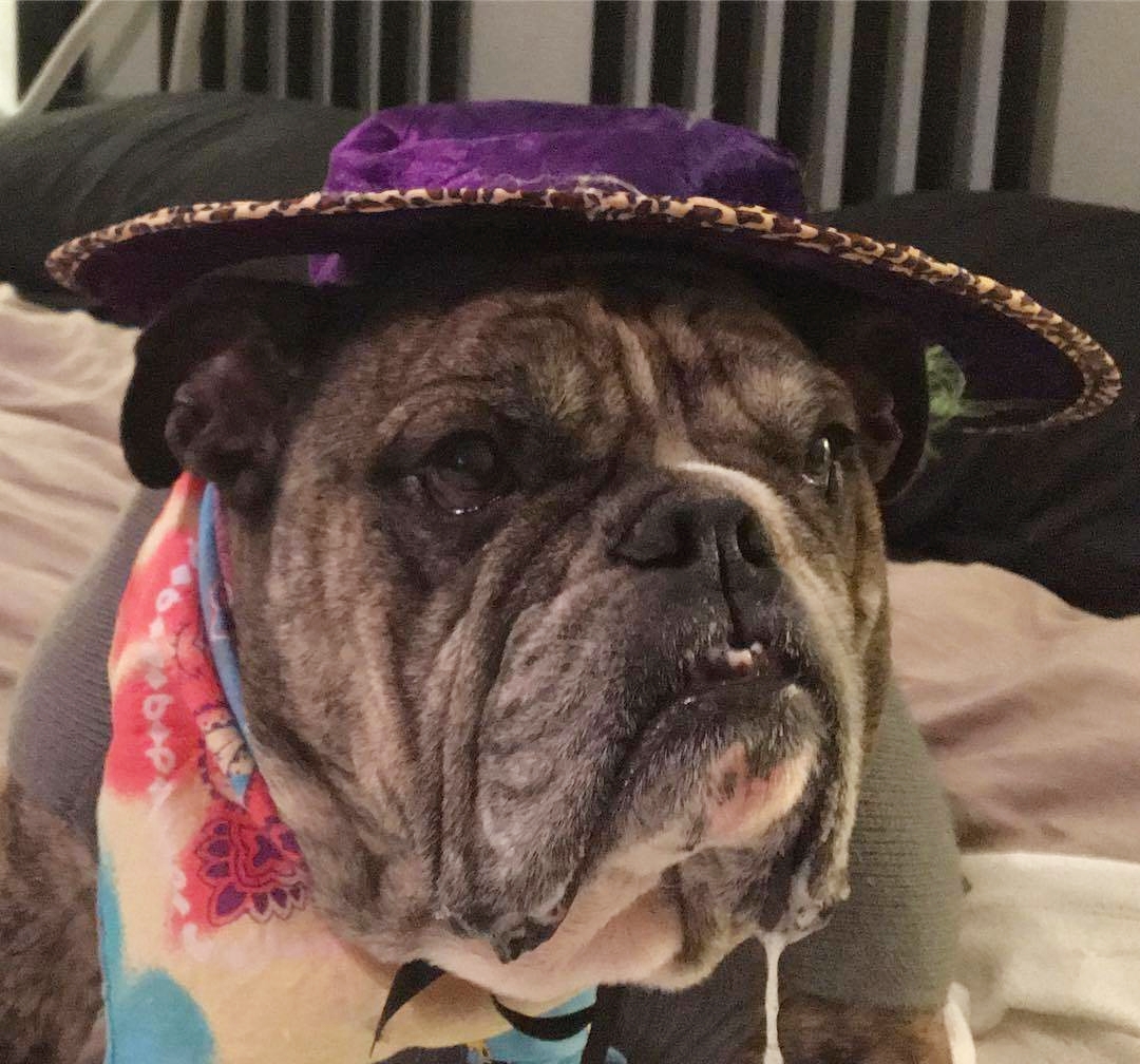 跟着我一起来看小阿牛的可爱照片吧!