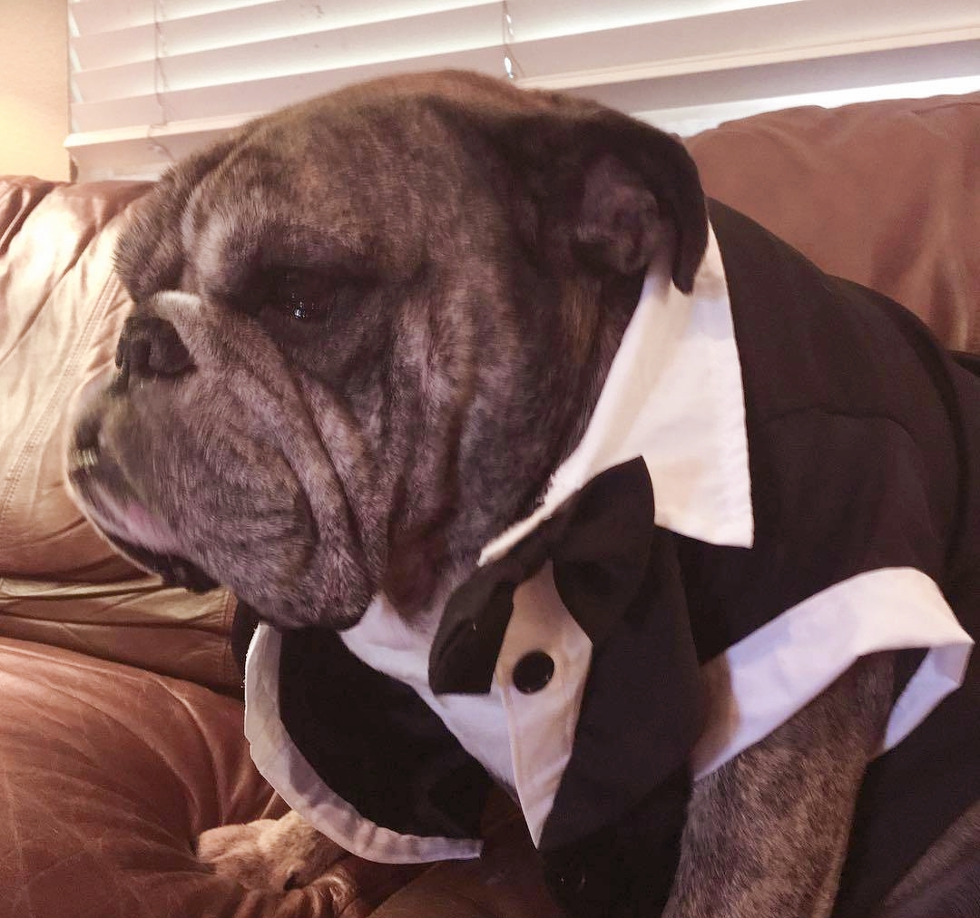 跟着我一起来看小阿牛的可爱照片吧!