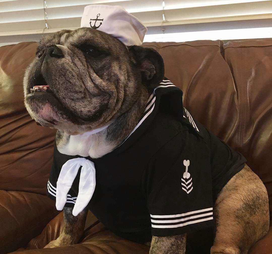 跟着我一起来看小阿牛的可爱照片吧!