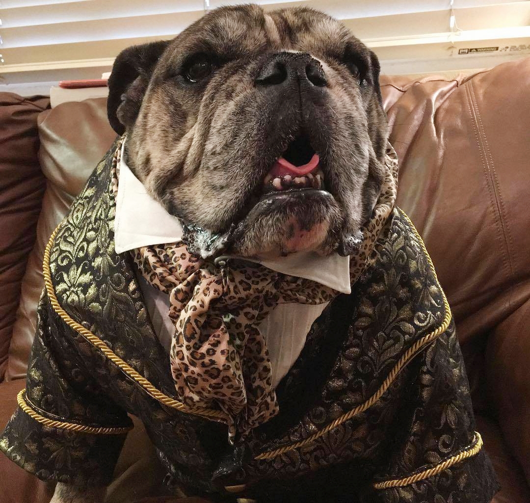 跟着我一起来看小阿牛的可爱照片吧!